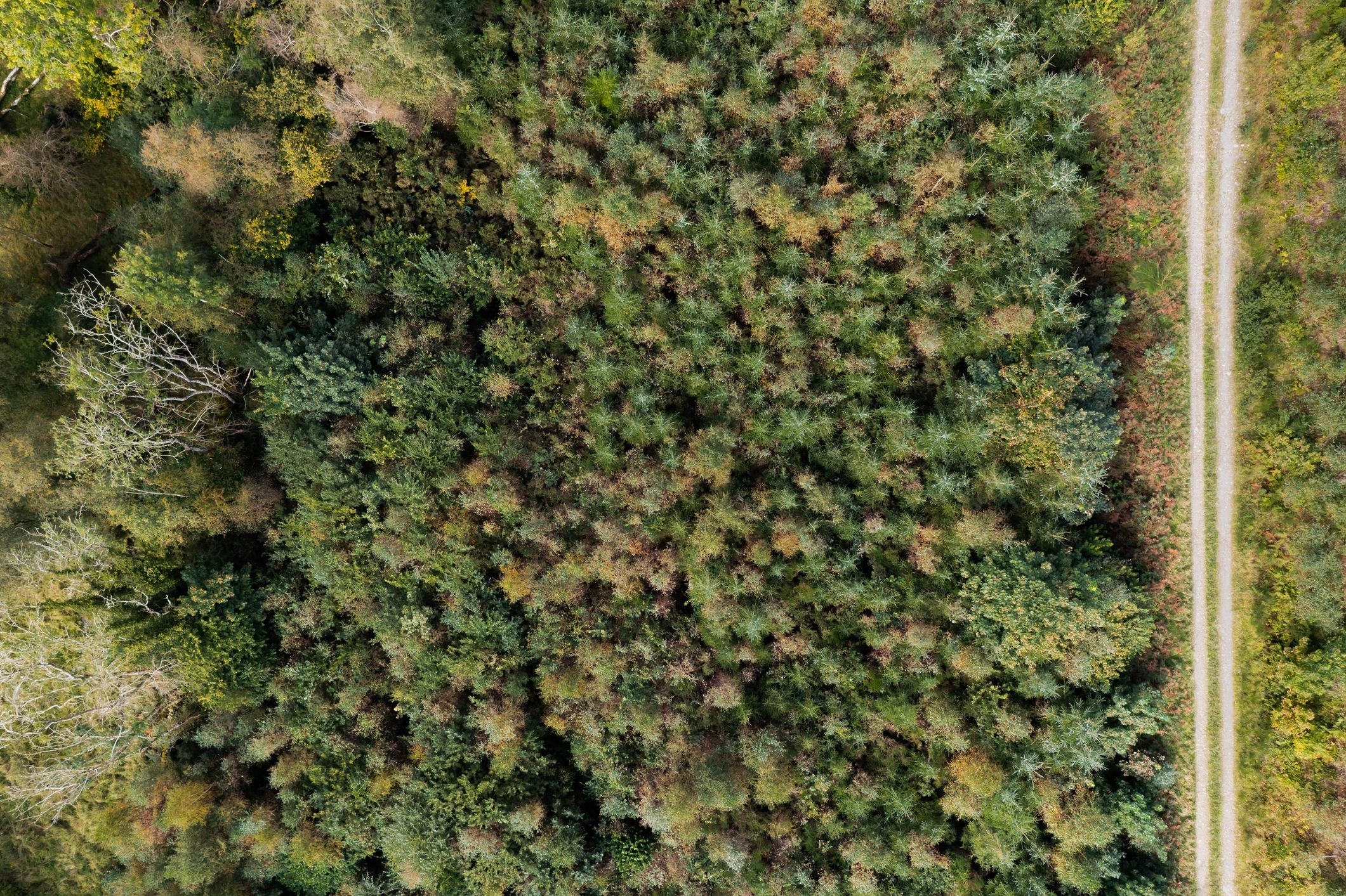 Aerial view representing a client project area